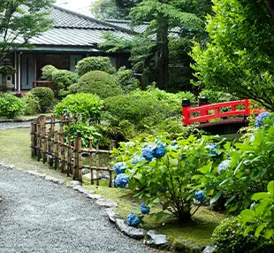 图片：日本花园