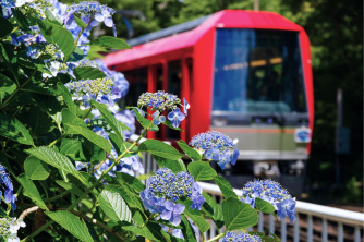 Hakone Tozan Railway